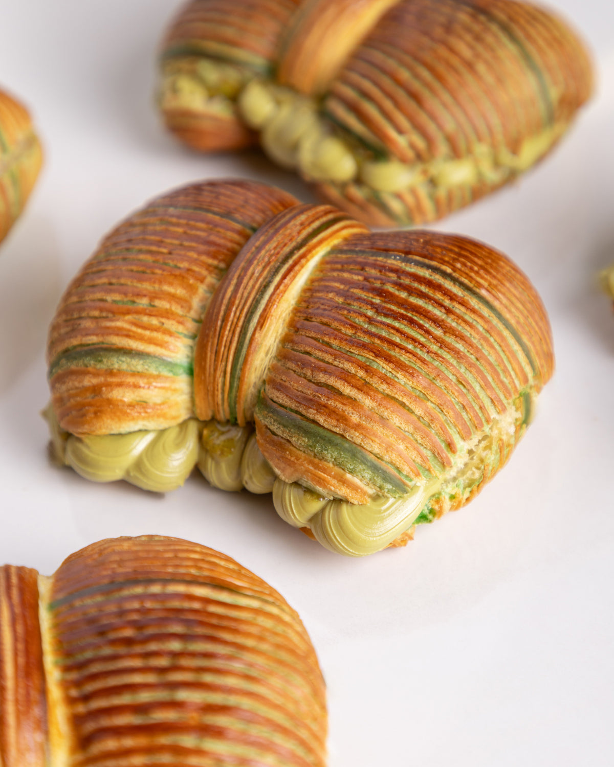 28 01 25_papillon_pistacchio_06