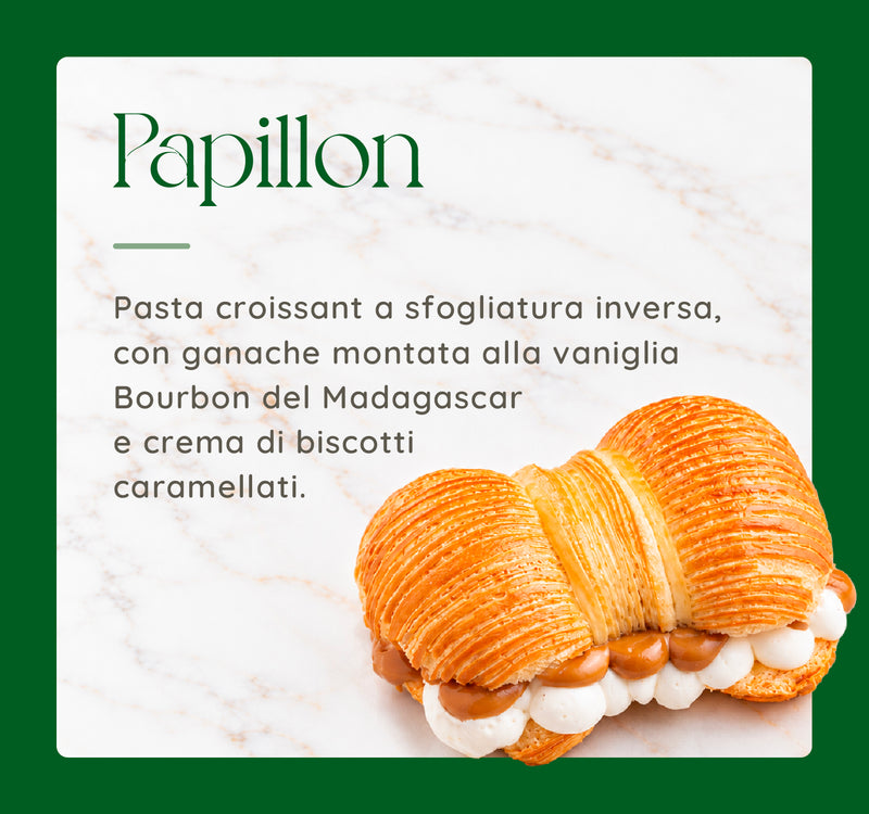 papillon