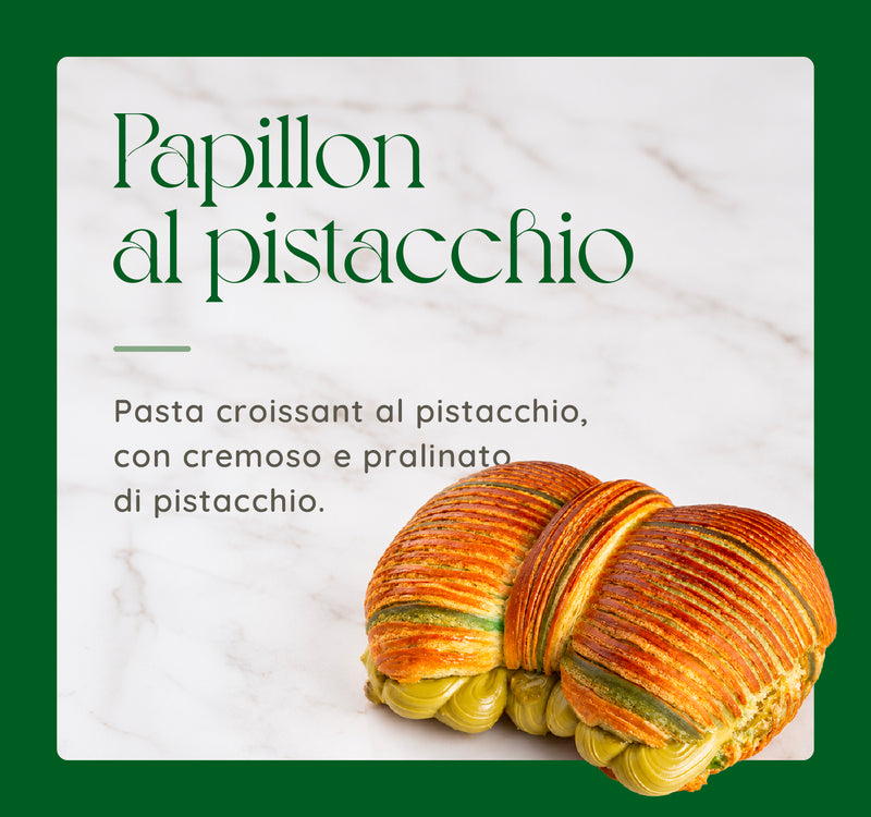 papillon pistacchio