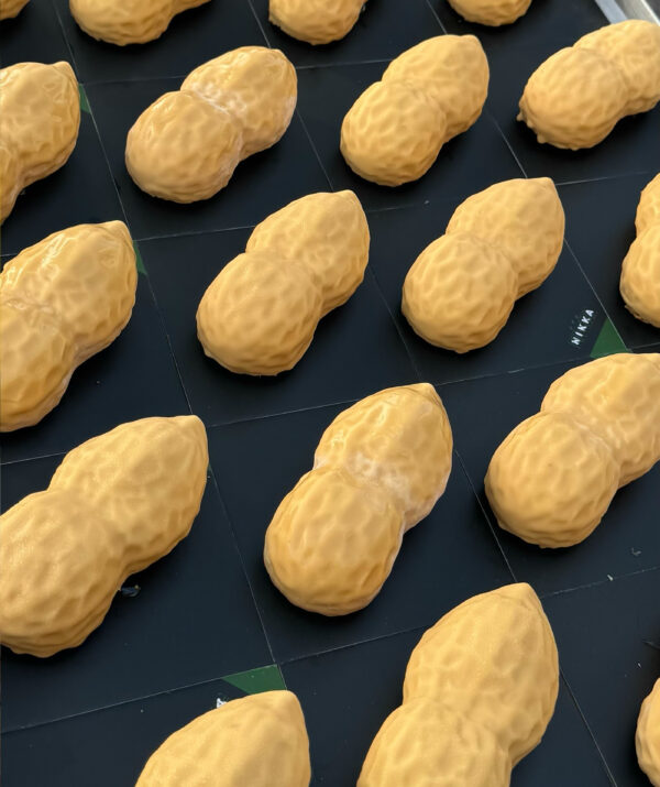 🥜 ARACHIDE
