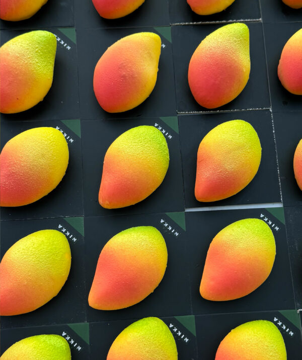 🥭 MANGO